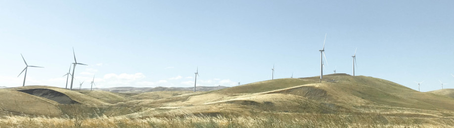 Picture: Jamie Hagan (Unsplash)