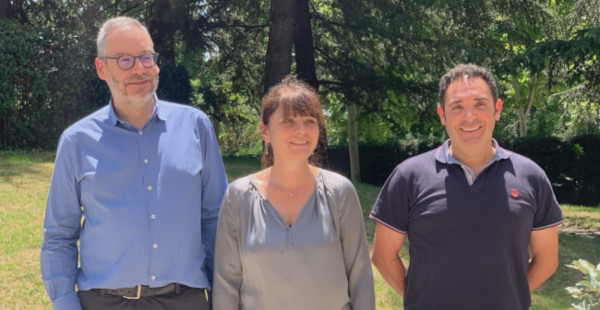 Measnet Executive Board